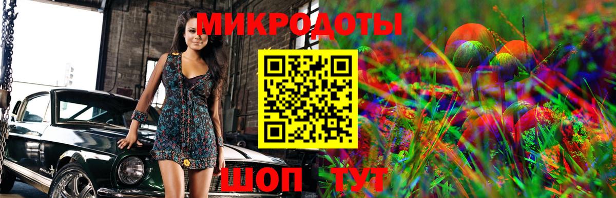 Галлюциногенные грибы Cubensis Можга