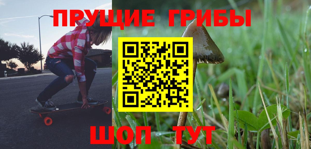 Галлюциногенные грибы GOLDEN TEACHER  Вход с VPN  Можга  Псилоцибиновые грибы GOLDEN TEACHER 
